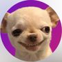 evil_dogi