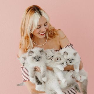 Pearls Ragdolls