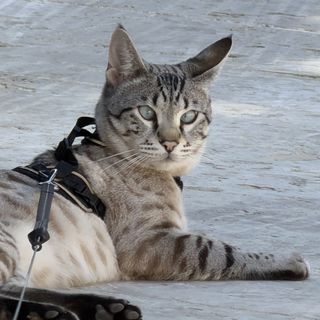 By Teresa