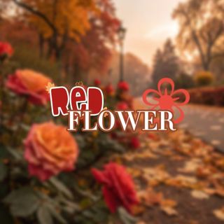 RedFlower🌹🍂