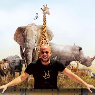Le Roi De La Jungle Au Kenya
