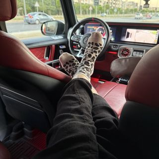 🐆