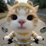 Traffic Rider