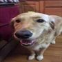Tuna Breath