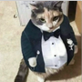 لاnorbert