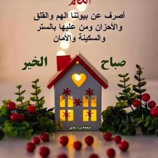 ريتا المنصوري🦁💎