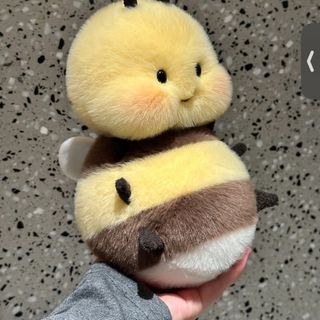 🍯شيوخ 🍯