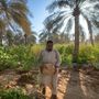🌱مزرعة بوحسين لشتلات موسميه