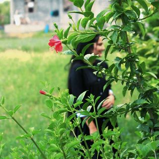 Choudhary