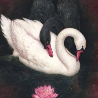 <3 🌺.