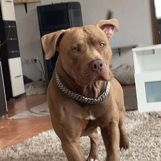 Sergej