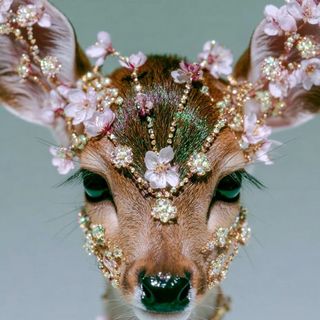 غدغوده💋