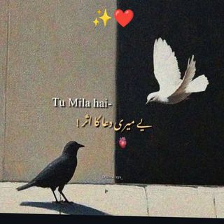 itx._pathan_