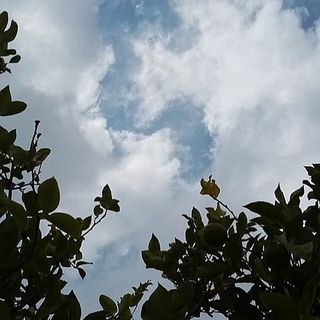 kj_osborn1