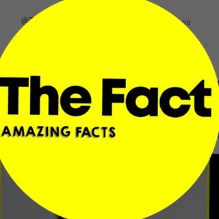 Fact Stock