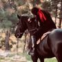 G🐎
