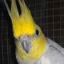 🐥🐣Abu Turky 🐣🐥
