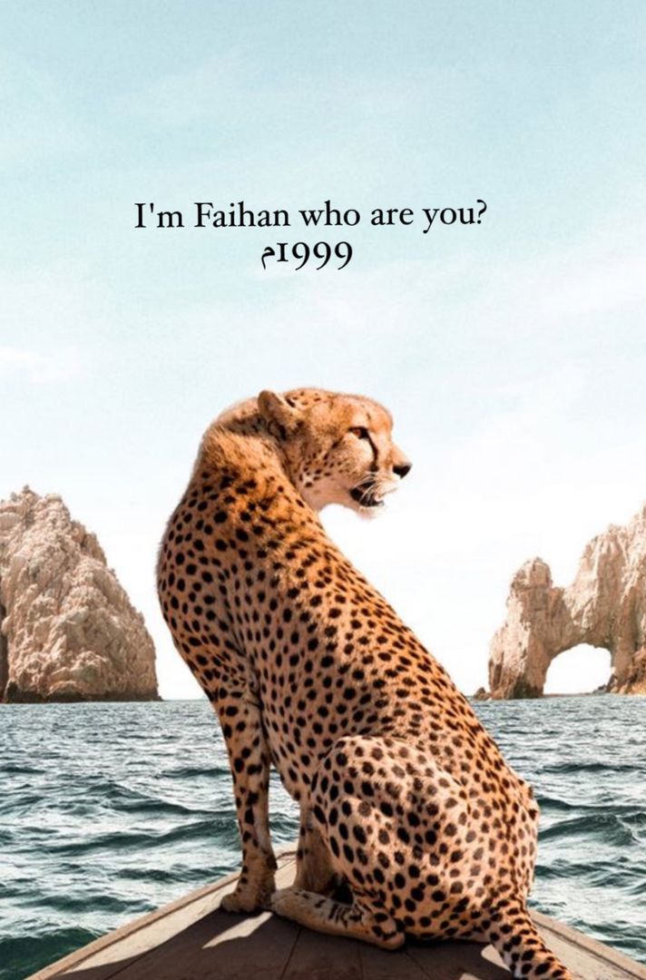 FAIHAN 🐆