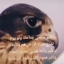صمتً