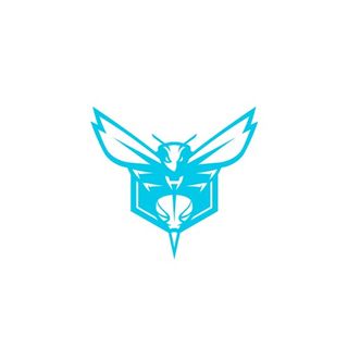 Charlotte Hornets