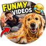 Funny Videos