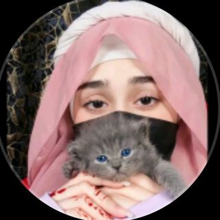 DR Ayesha