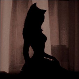 theladywhisker
