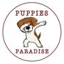 Puppies Paradise