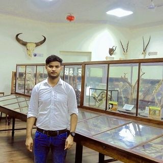 M Faisal Qureshi