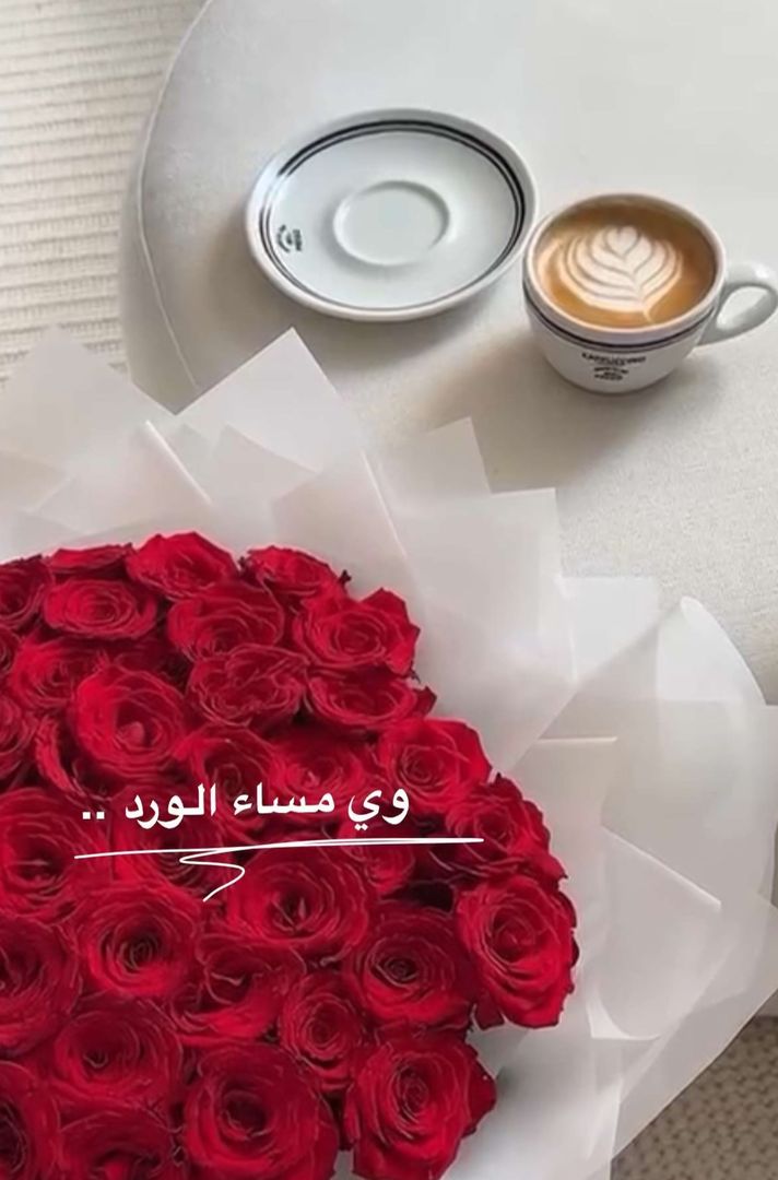 شـهد 🕊️💛