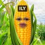 Snapchat profile picture for @corning