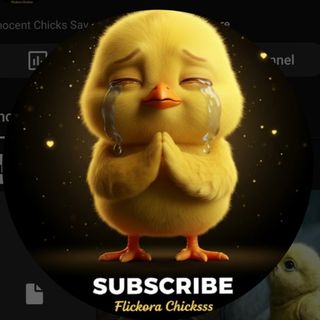 Flickora Chicks