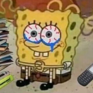 Spongelights