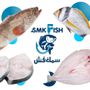 سمك فش 🐟🦐