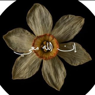 فردوس،المعمري🌺.