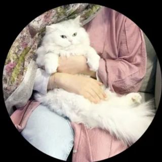 Zoya.