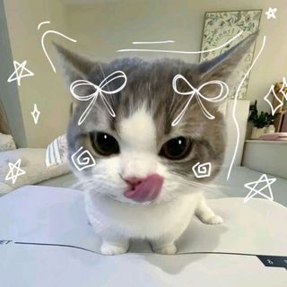 Տᕼꫝᘜᴜꪀꪀꪀꪀ🌸🖇️