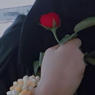 $ßhanta