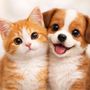 Pawsy Pals