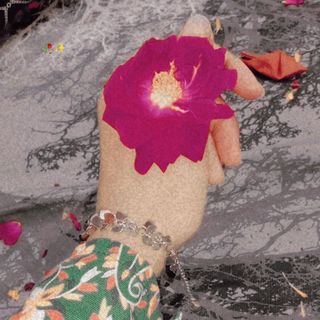 🥀✨