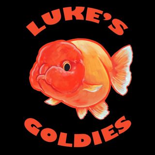 Luke’s Goldies