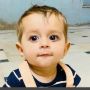 cutebabyvideos12