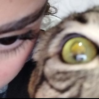 Houda 🐈‍⬛