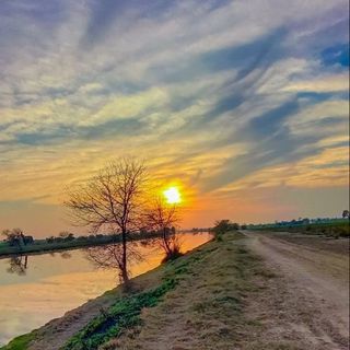 Avi Yadav