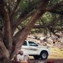 ابو يوسف الجمحان