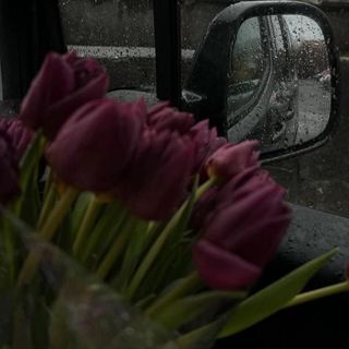 افنان العلي 💕