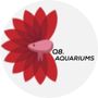 Q8.aquariums