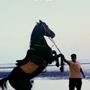 ابو حنشش