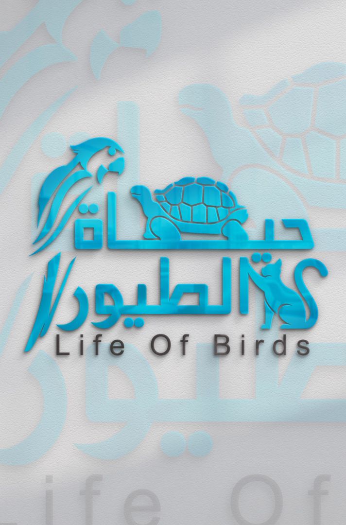 حياة الطيور🦜🐾🪶