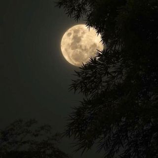 کاونیت چاولہ 💫🫀🪬